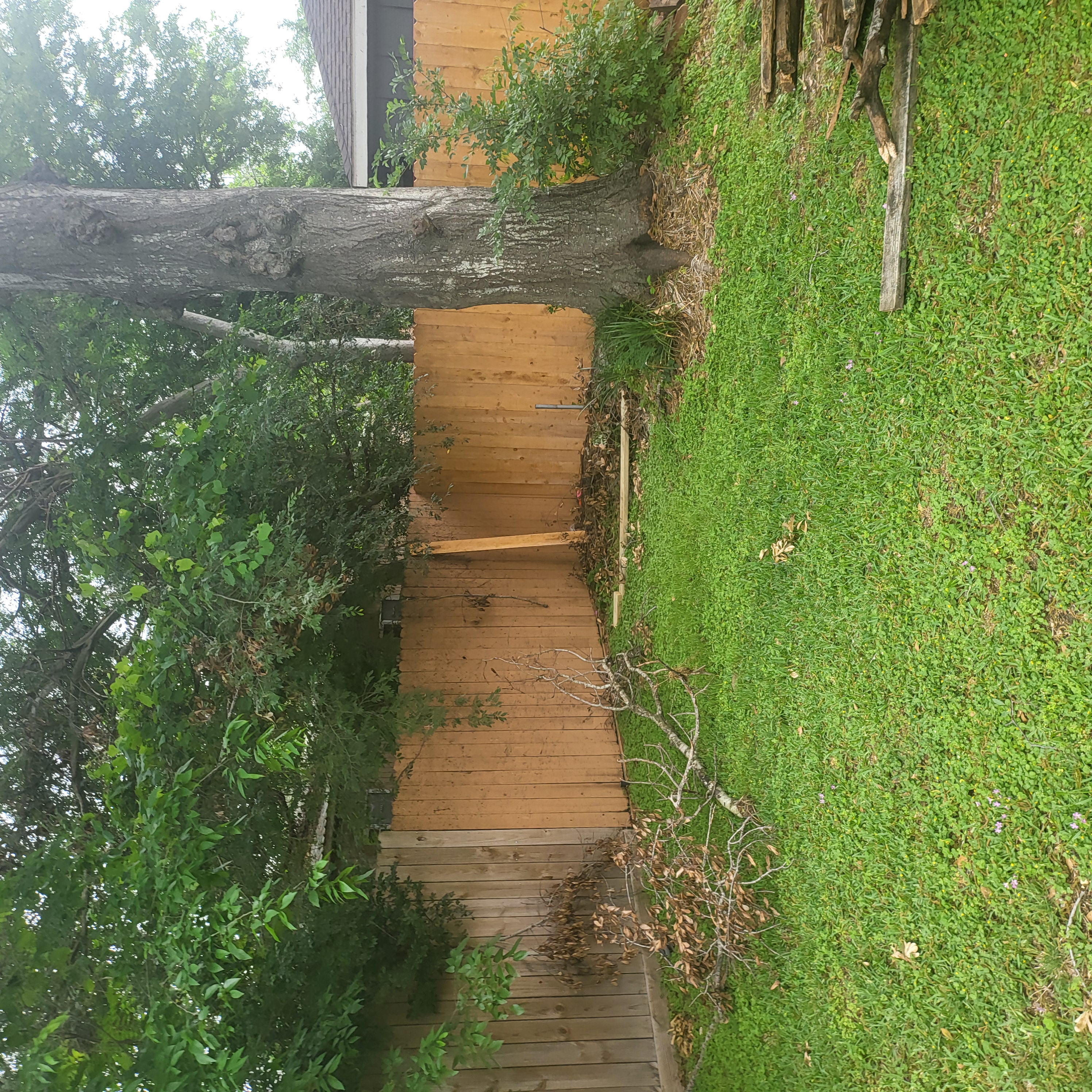 Fence Replacement Project for Christopher in Crosby, Texas